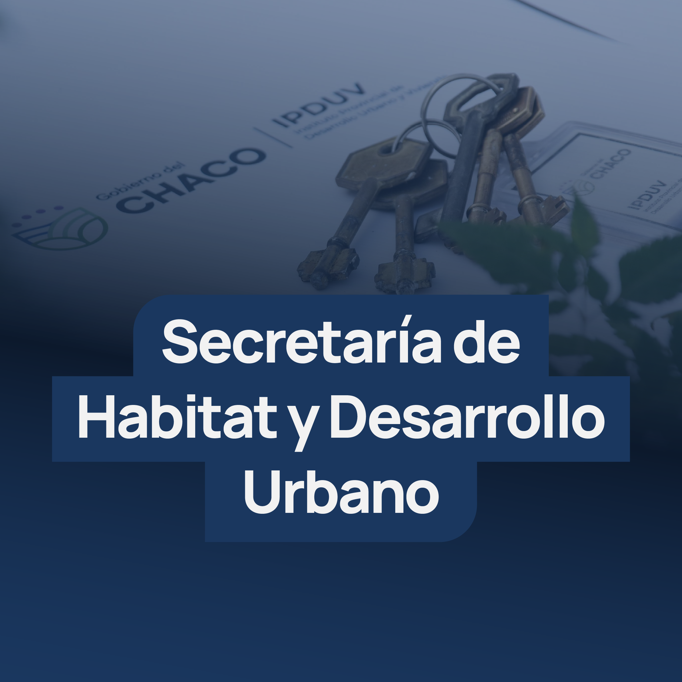 Imagen de contenido